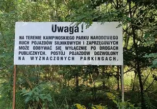 Nielegalne wjeżdżają do Kampinosu. Straż parku przyłapała kierowcę quada