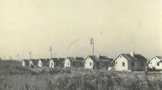 Kolonia domków fińskich na Polu Mokotowskim, 1945r.