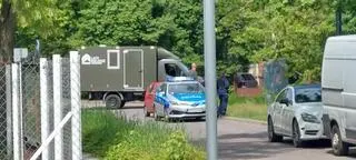 Dzik zaatakował kobietę spacerującą z psem