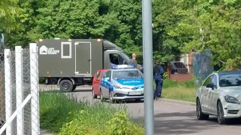 Dzik zaatakował kobietę spacerującą z psem