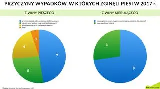 Przyczyny wypadków