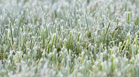 Prognoza zagrożeń IMGW. Synoptycy mogą ostrzegać przed przymrozkami
