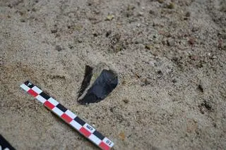 Badania archeologiczne na stanowisku neandertalczyka w Zwoleniu