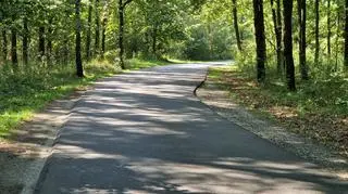 Droga powiatowa przez Kampinoski Park Narodowy