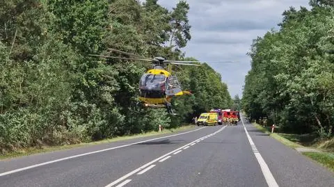 Kierowca uderzył w drzewo na dk 50