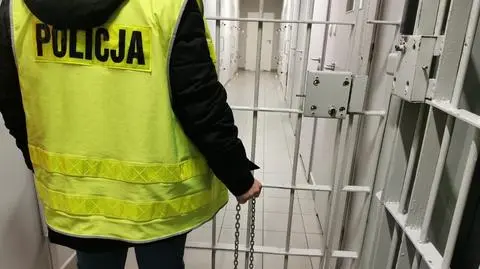 Policjanci zatrzymali 36-letniego recydywistę (zdjęcie ilustracyjne)