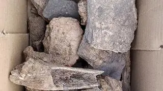 Badania archeologiczne w Zaborowie