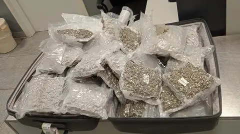 Funkcjonariusze KAS udaremnili przemyt marihuany