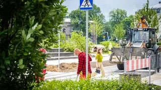 Sadzenie drzew na placu Bankowym