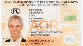 Wzór dokumentu ADR