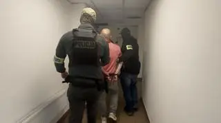 Policjanci ze Śródmieścia zatrzymali siedmioro obywateli Gruzji