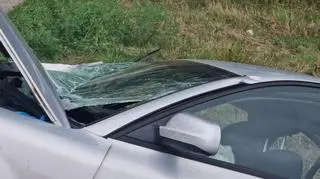Wypadek w miejscowości Całowanie