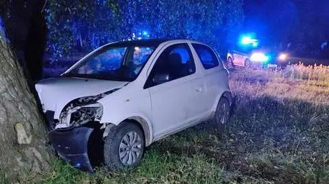 Kierowca uderzył w drzewo