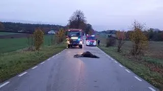 Auto osobowe zderzyło się z łosiem w gminie Pomiechówek