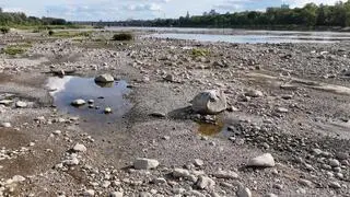 Rekordowo niski poziom wody w Wiśle