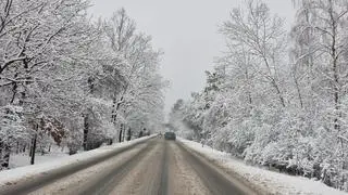 Kolizja w Wesołej