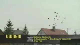 Materiał Uwagi TVN