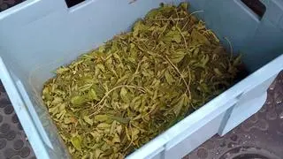 Nielegalna broń i narkotyki na posesji w powiecie grójeckim