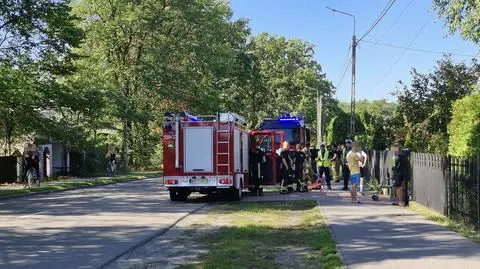 Grupa kolarzy zderzyła się z dzikami