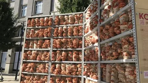 Różowe grzyby wciśnięte w metalowe regały. Nowa instalacja na placu Pięciu Rogów