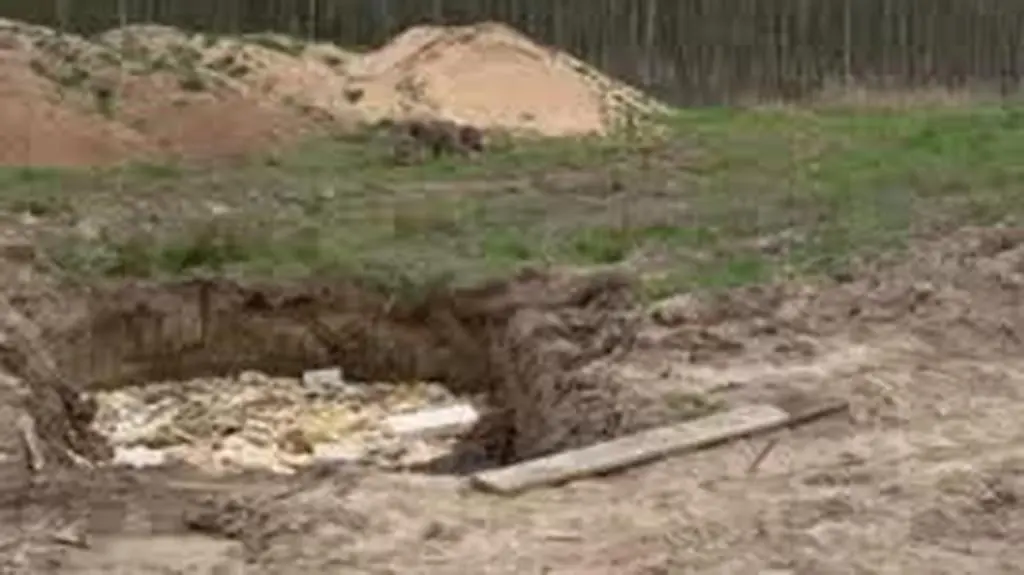 Wilk wrócił do lasu