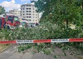 Interwencja służb na Grenadierów 