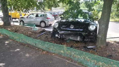 "Przesunął" zaparkowane auto na słupki, drzewo i pas zieleni