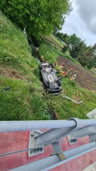 Dachowanie w miejscowości Kotowice 