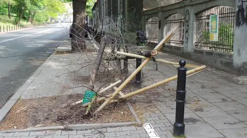 Wjechał w drzewo i uciekł. Szuka go policja