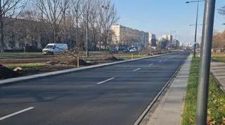 Nowe drzewa przy Sobieskiego