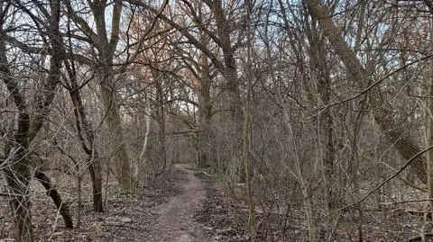 Urząd kupił Park Wiśniewo