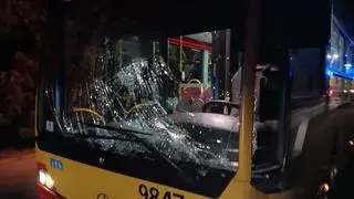 Kolizja z udziałem jelenia w miejscowości Leszno