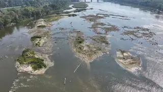 Niski poziom Wisły w Warszawie 