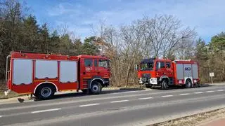 Kierująca wjechała w drzewo w miejscowości Okuniew