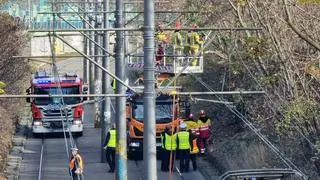 Służby usuwają gałęzie drzew przy rondzie Starzyńskiego