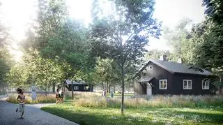 Wizualizacja odnowionych domków fińskich