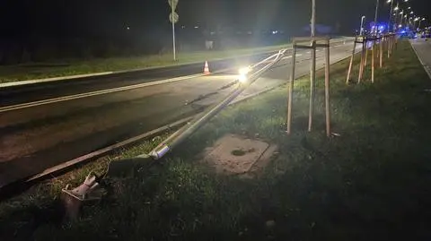 Skosił latarnię i wjechał na chodnik. "Był agresywny, dotkliwie ugryzł policjanta"