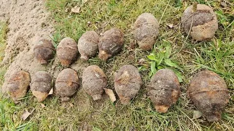 Mężczyzna trafił na niewybuchy podczas prac w ogrodzie