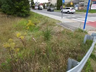 Droga rowerowa na Lucerny 