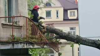 Ogromne drzewo zwaliło się na sąsiadujący budynek