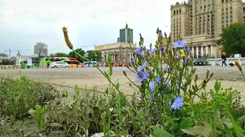 Zniknie nieformalny dworzec, powstanie plac Centralny