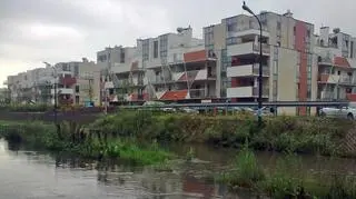 Okolice ul. Kosiarzy fot. Tomasz Zieliński/tvnwarszawa.pl