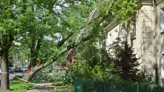 Akcja strażaków na Bielanach