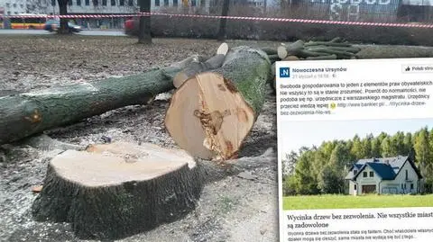 Nowoczesna krytykuje "Lex Szyszko", choć chwaliła "powrót do normalności"