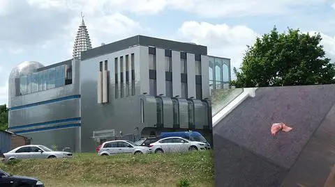Przewodniczący gminy muzułmańskiej: importujemy nienawiść z zagranicy