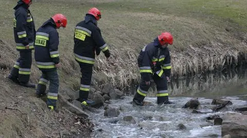 Ropopochodna substancja na Potoku Służewieckim