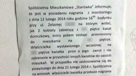 Sąsiedzki spór o kwiatek. Monitoring pomógł w dochodzeniu