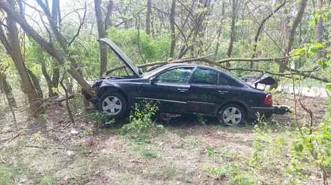 Zjechał z drogi, uderzył w drzewo