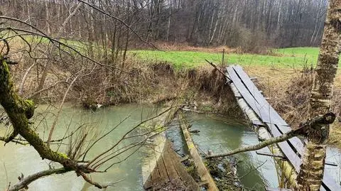 Utonięcie w rzece Biała Łada pow. biłgorajski 