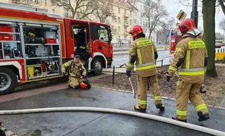 Pożar mieszkania przy placu Wilsona 